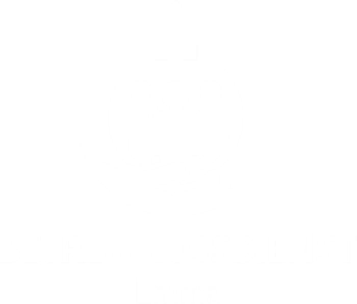 Betreuungsdienst Emma
